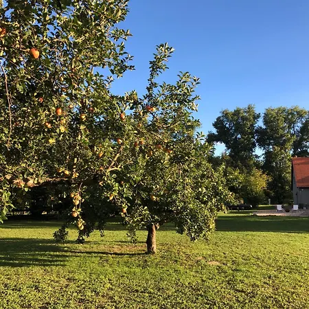 Auszeit Separee Am شقة