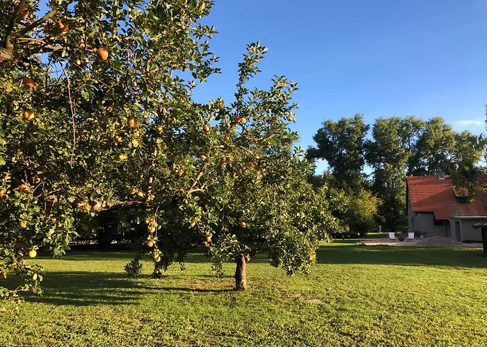 Auszeit Separee Am Apartment